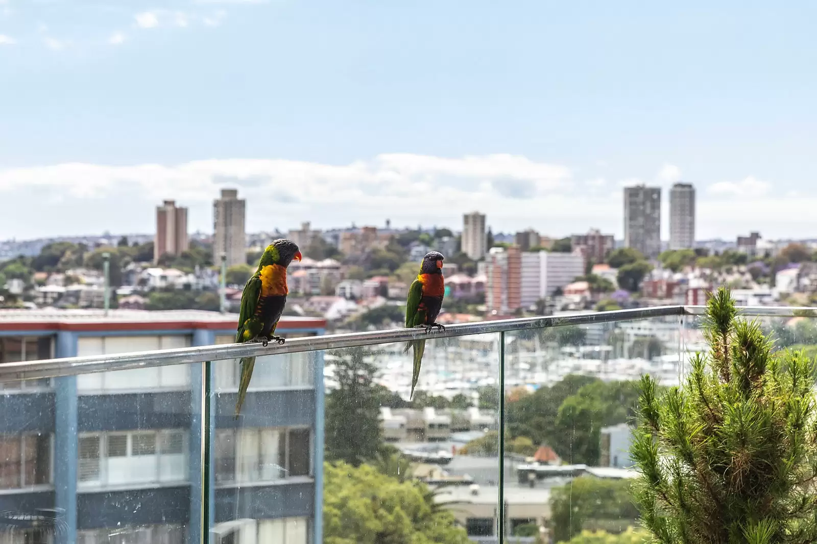 702/37 Bayswater Road, Potts Point Sold by Sydney Sotheby's International Realty - image 6