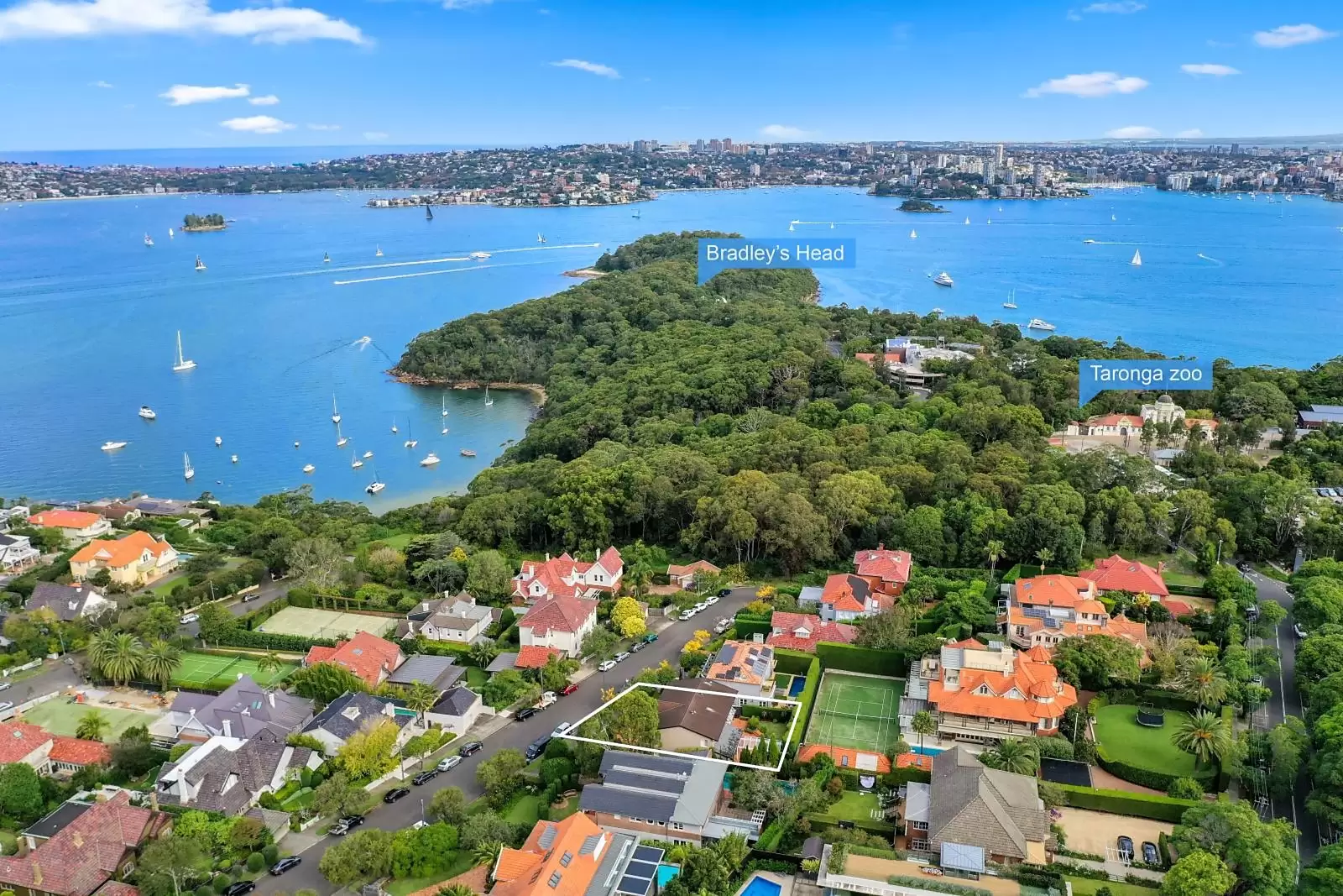 4B St Elmo Street, Mosman Sold by Sydney Sotheby's International Realty - image 5