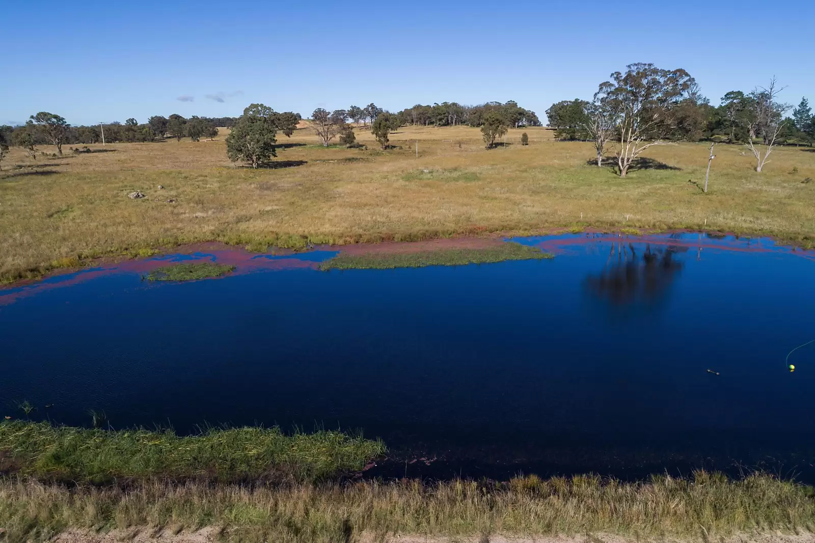 525 Cluny Road, Armidale Sold by Sydney Sotheby's International Realty - image 11