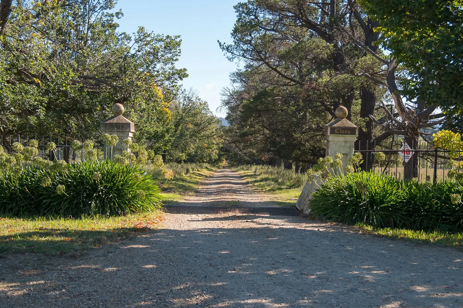 525 Cluny Road, Armidale Sold by Sydney Sotheby's International Realty - image 2