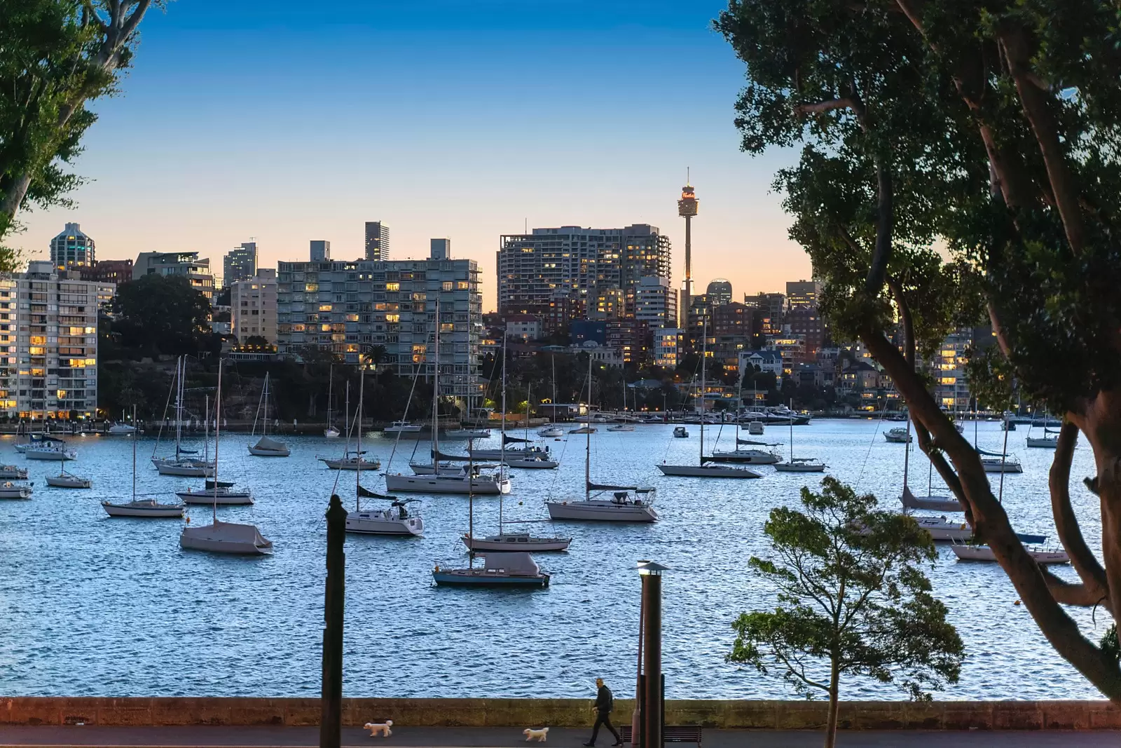 2/73 New Beach Road, Darling Point Sold by Sydney Sotheby's International Realty - image 13