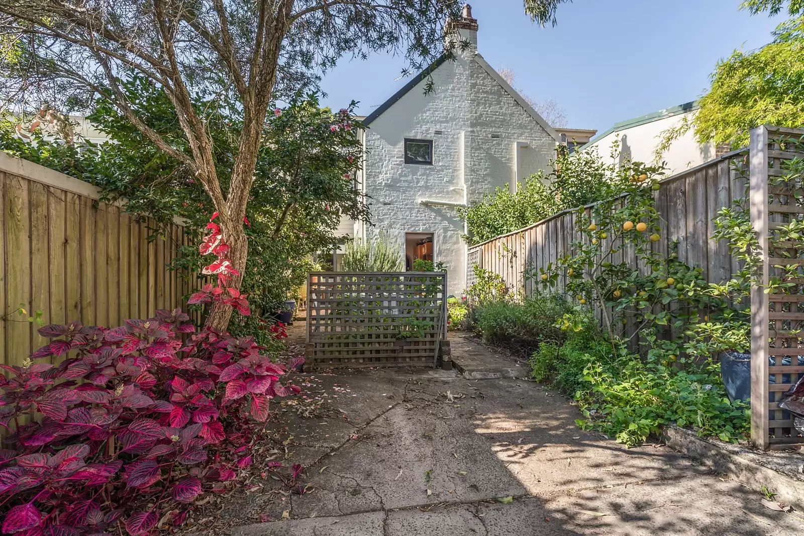 471 Riley Street, Surry Hills Sold by Sydney Sotheby's International Realty - image 7