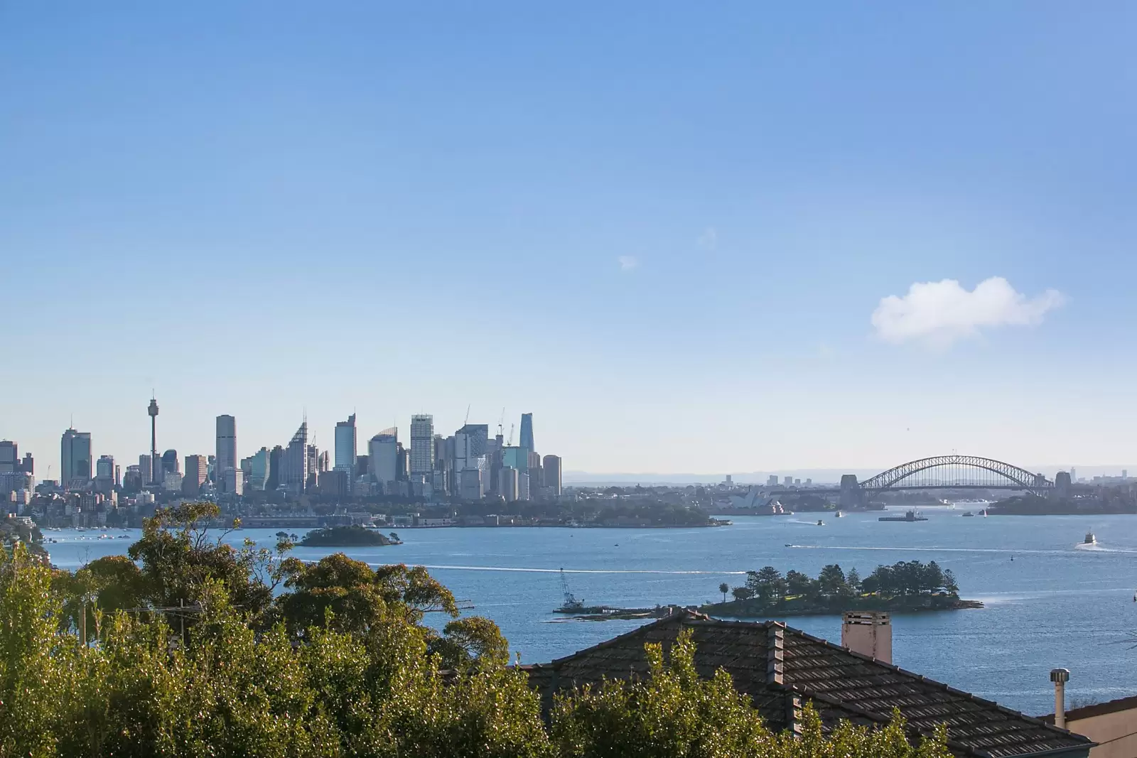 20 New South Head Road, Vaucluse Sold by Sydney Sotheby's International Realty - image 6