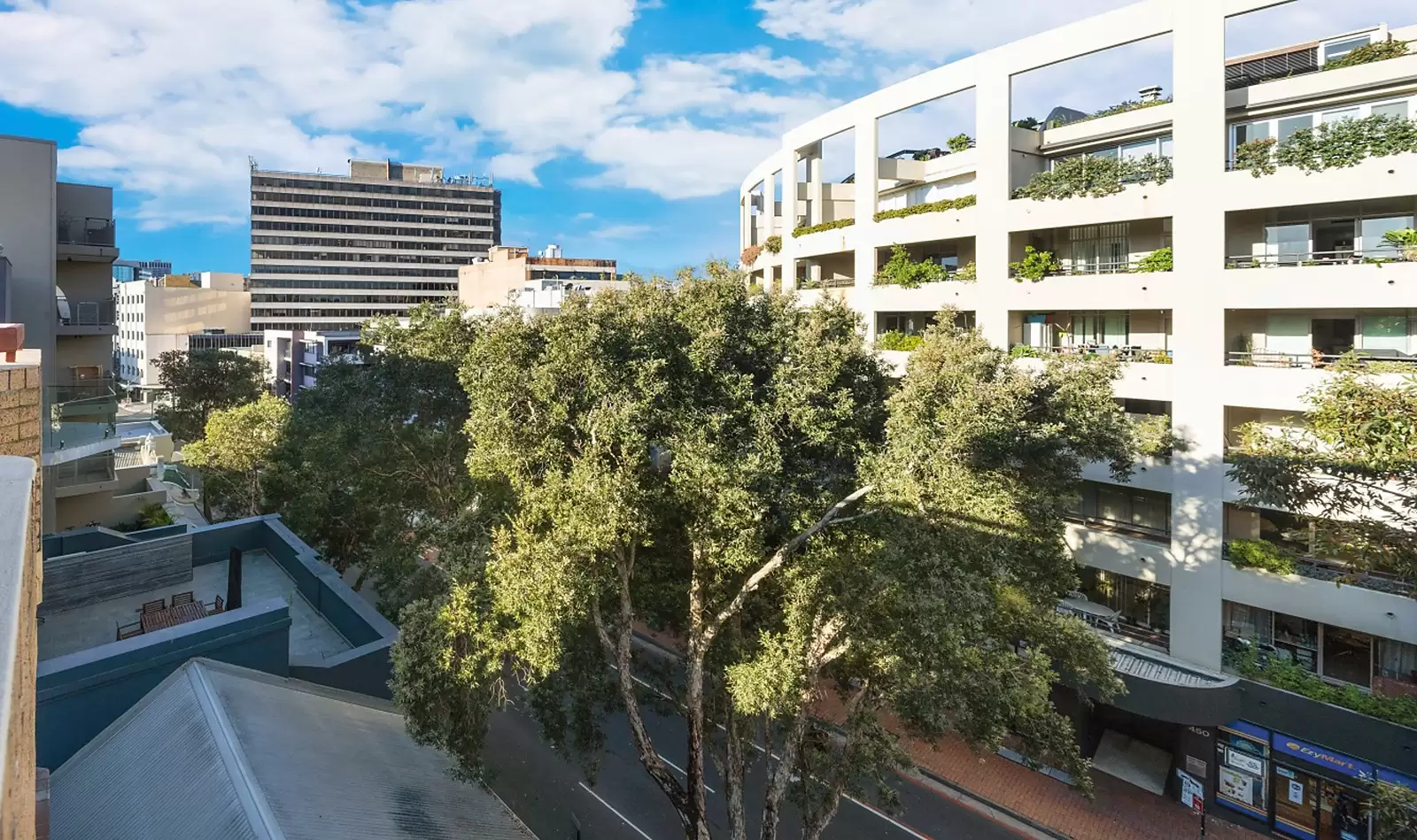 491-493 Elizabeth Street, Surry Hills For Sale by Sydney Sotheby's International Realty - image 5