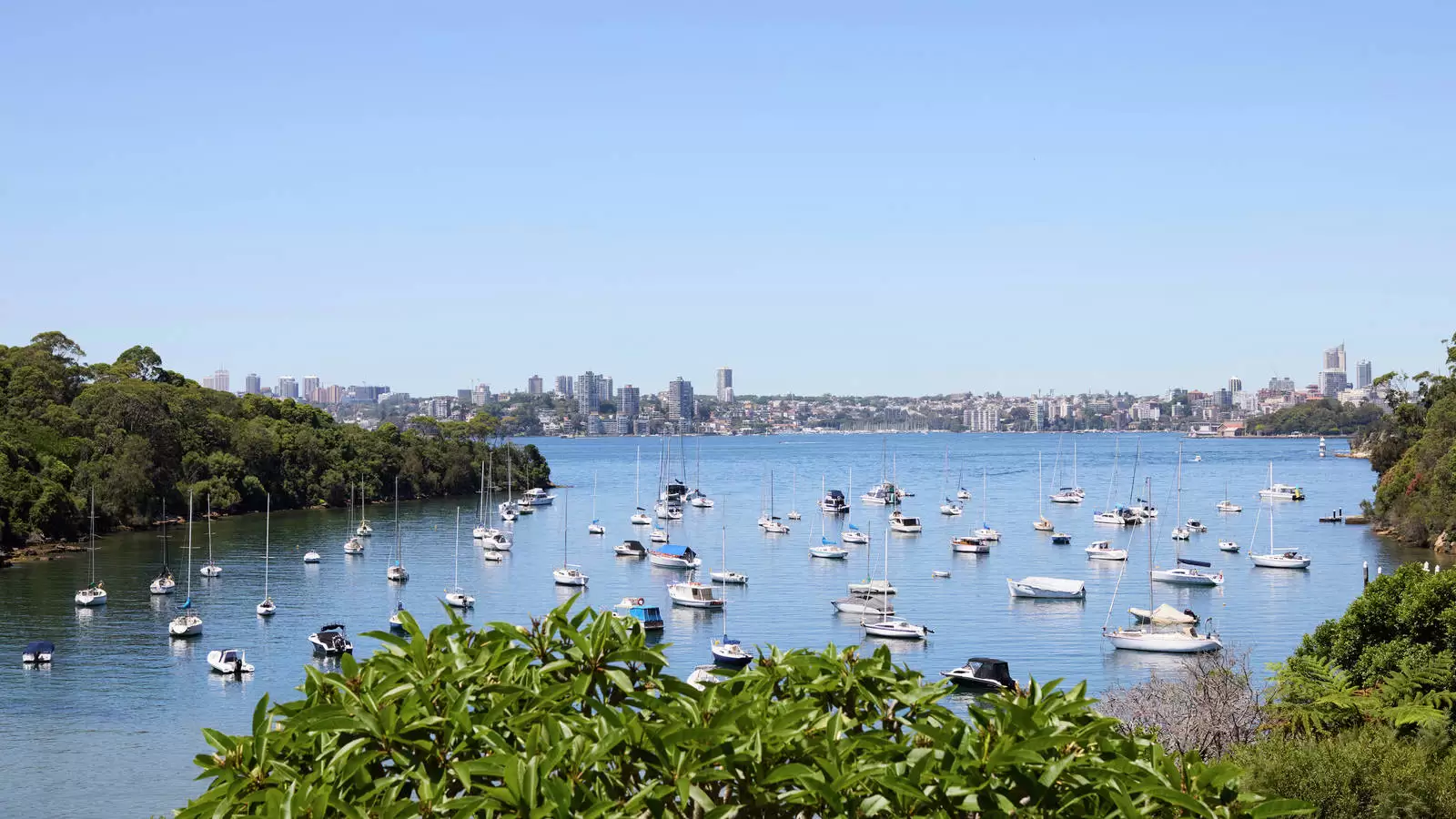 8 Curlew Camp Road, Mosman For Lease by Sydney Sotheby's International Realty - image 6