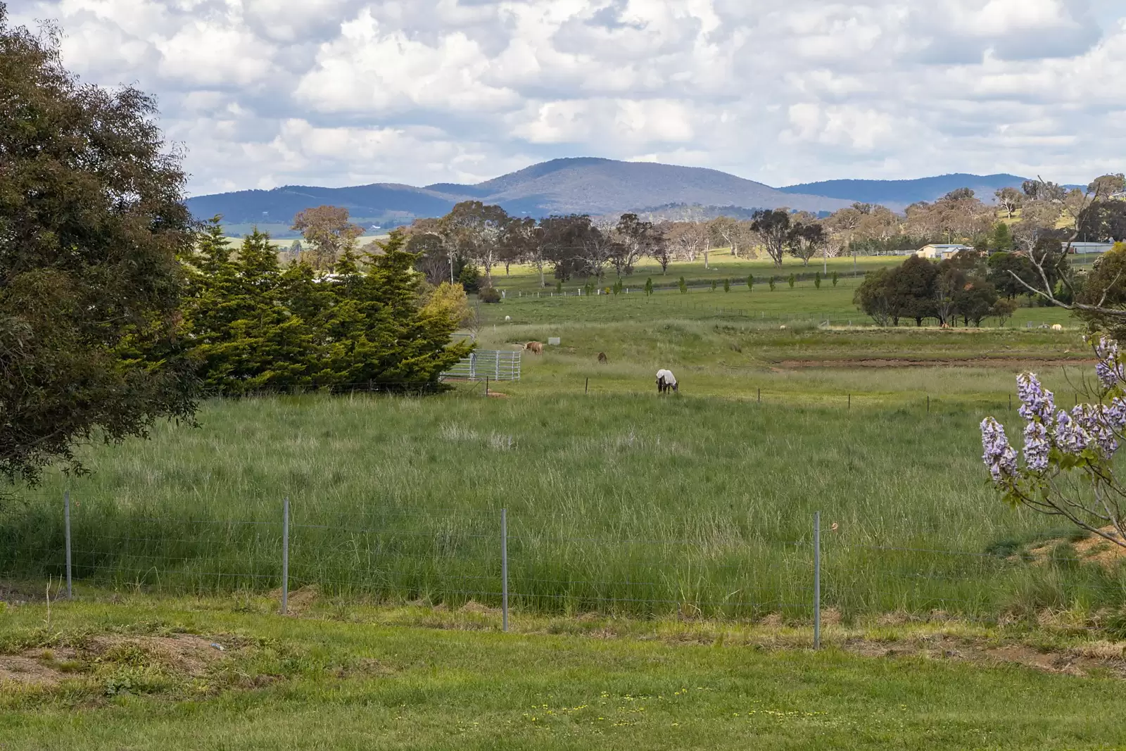 155 Middle Arm Road, Goulburn Sold by Sydney Sotheby's International Realty - image 11