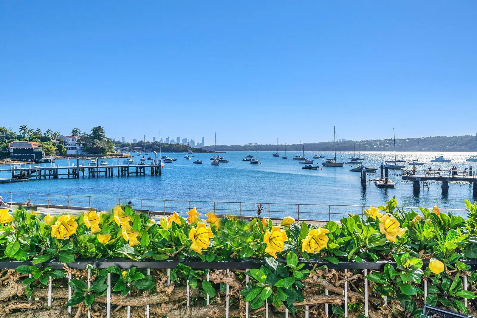 Photo #2: 5 Marine Parade, Watsons Bay - Sold by Sydney Sotheby's International Realty