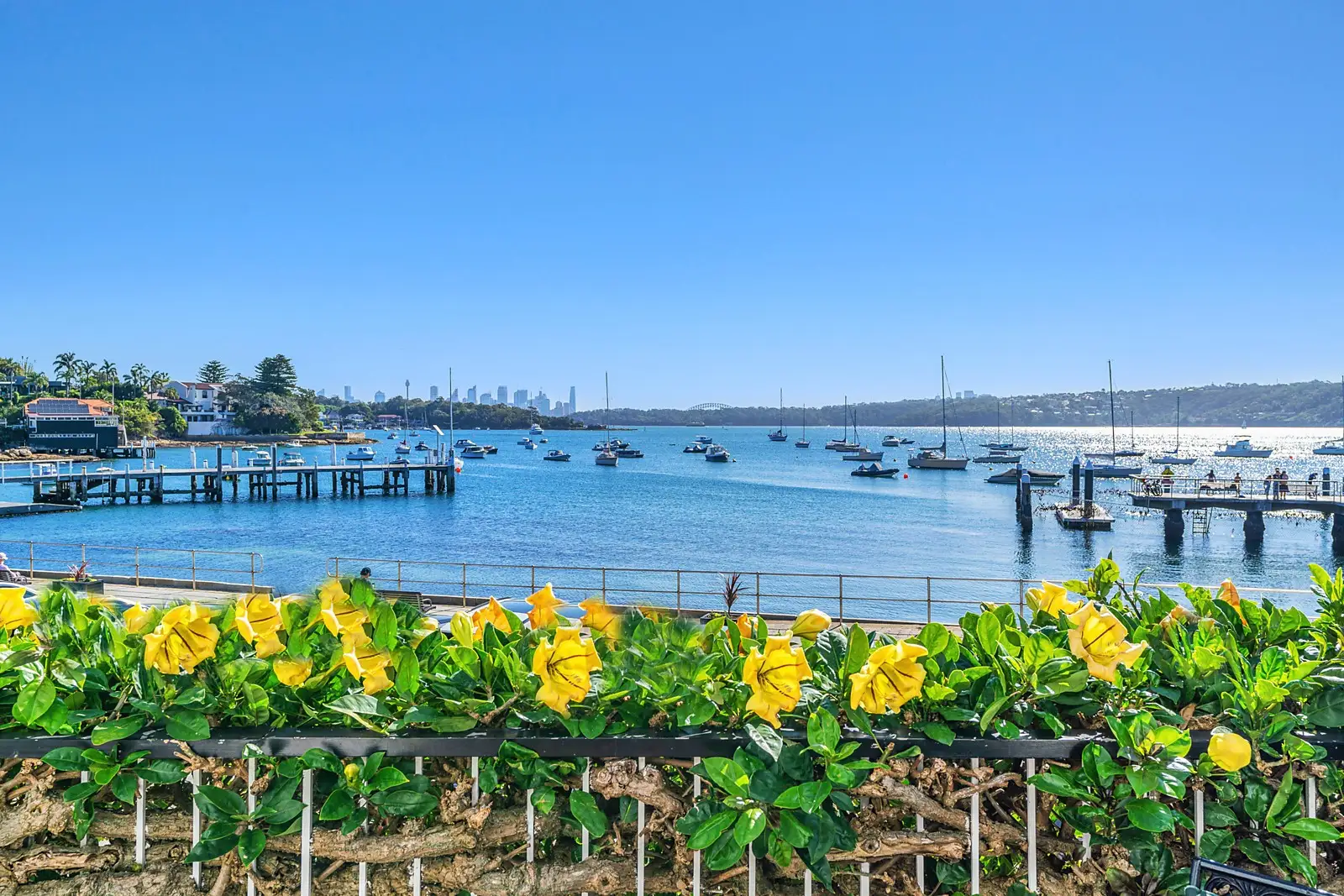 5 Marine Parade, Watsons Bay Sold by Sydney Sotheby's International Realty - image 2