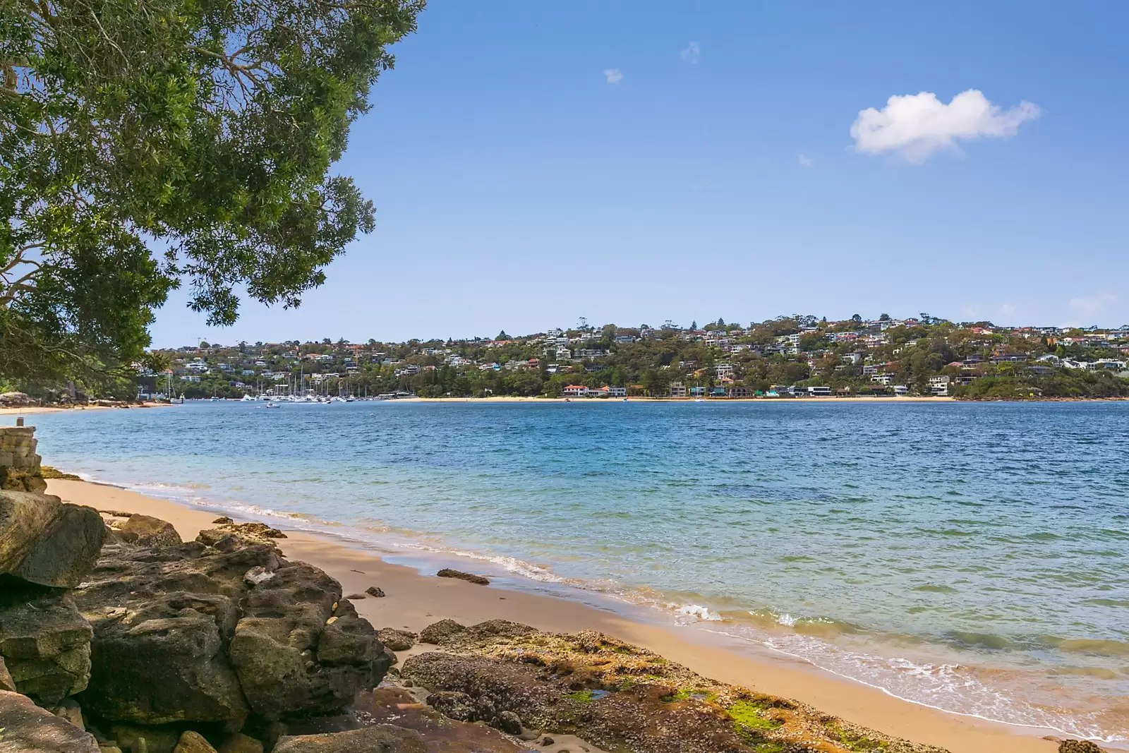 Photo #22: 51 Parriwi Road, Mosman - Sold by Sydney Sotheby's International Realty