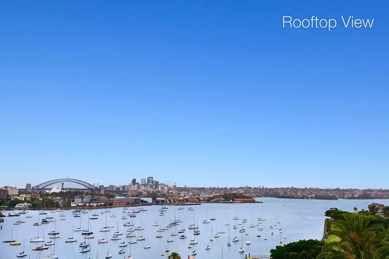 4/3 Annandale Street, Darling Point Sold by Sydney Sotheby's International Realty - image 18