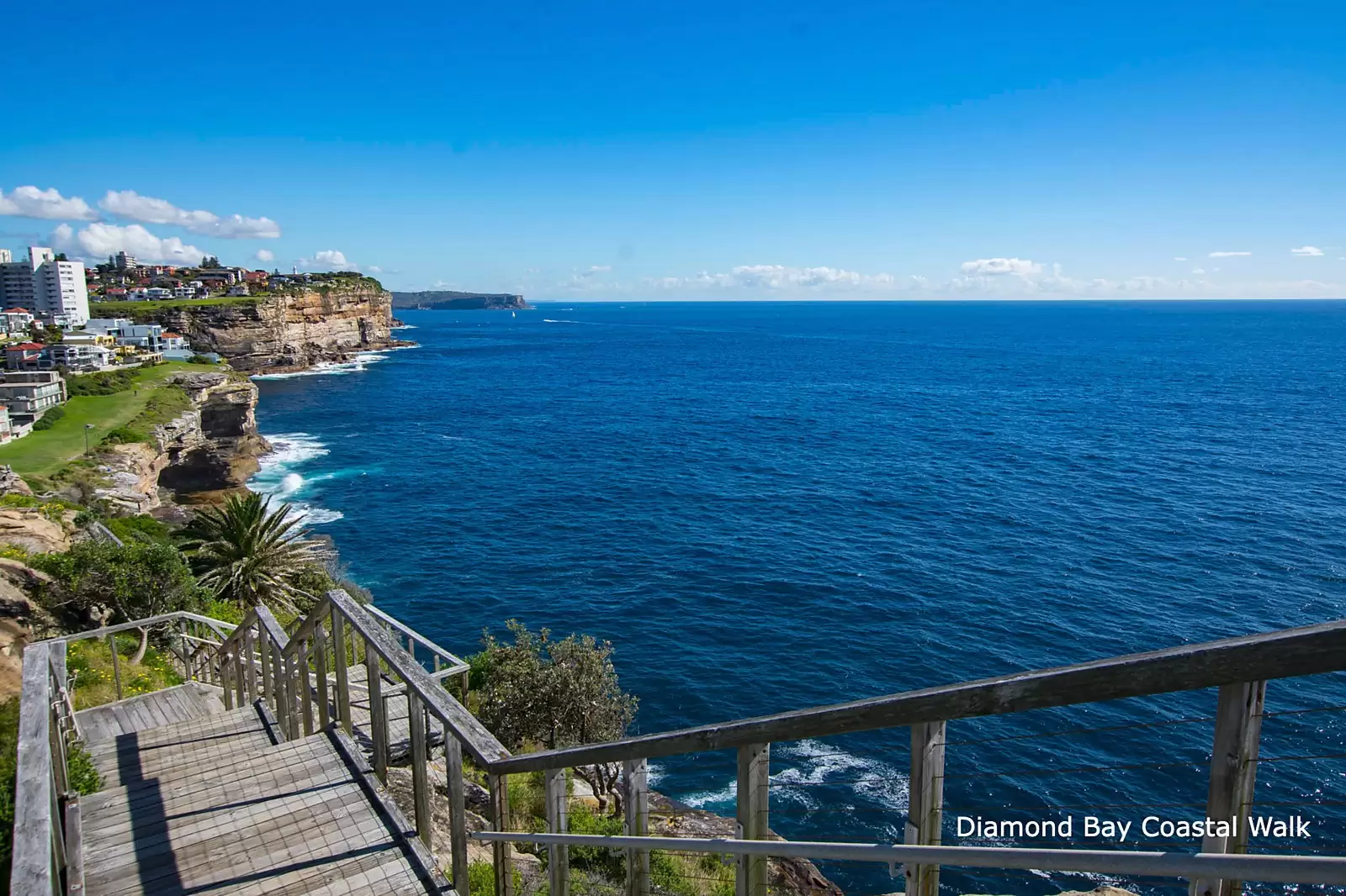 239a Military Road, Dover Heights Sold by Sydney Sotheby's International Realty - image 18