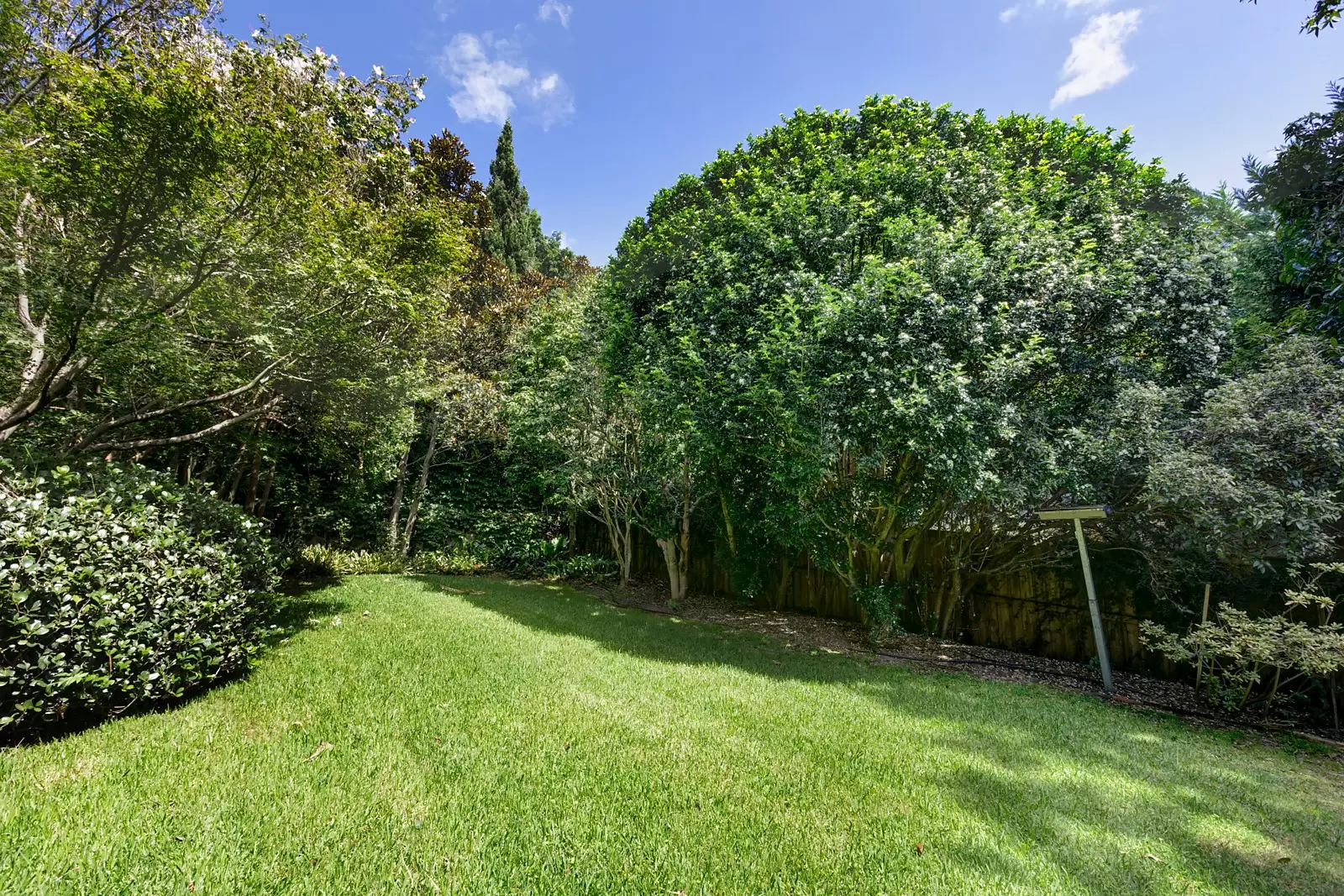 27 Manning Road, Double Bay Sold by Sydney Sotheby's International Realty - image 20