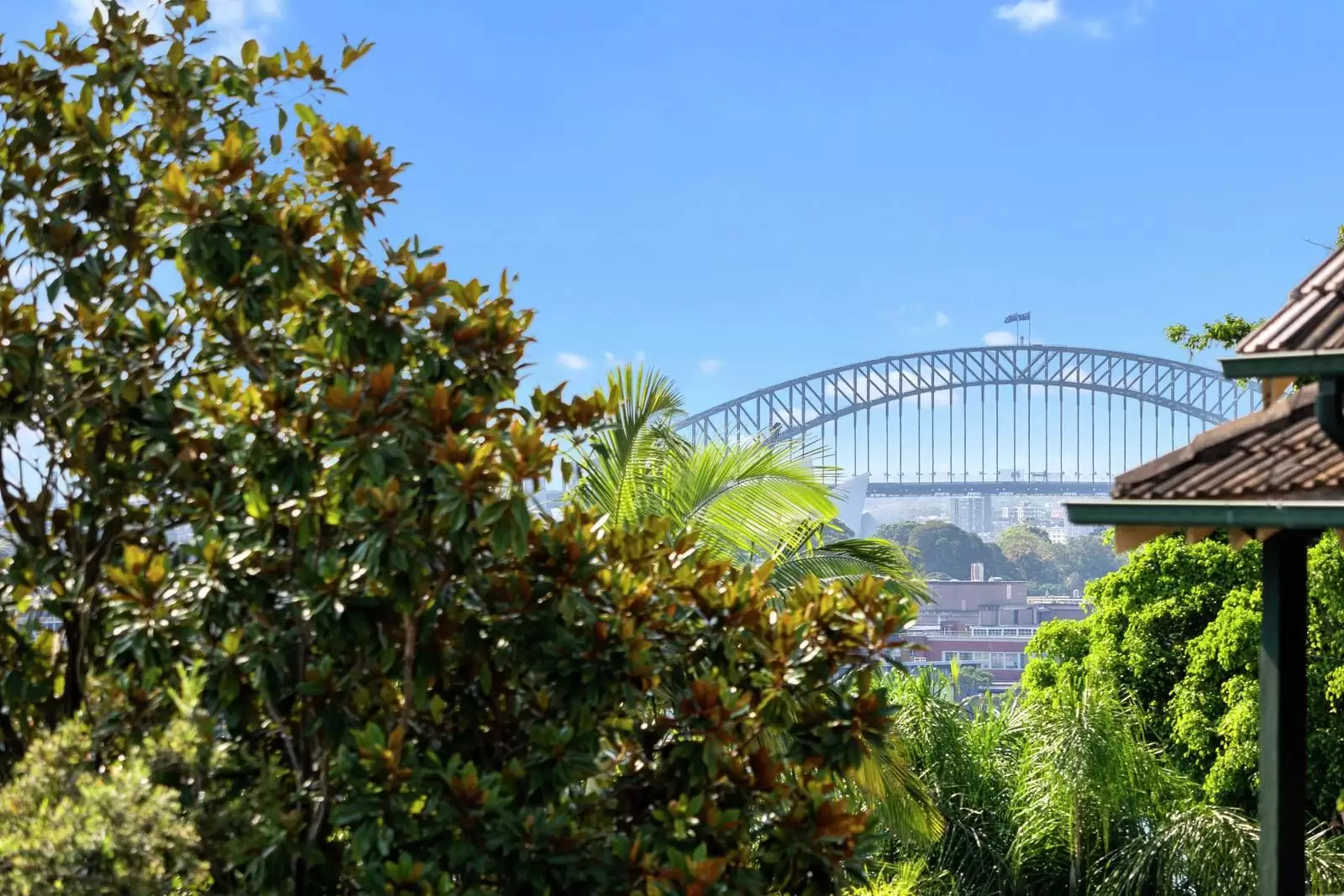 42A Darling Point Rd, Darling Point Leased by Sydney Sotheby's International Realty - image 10