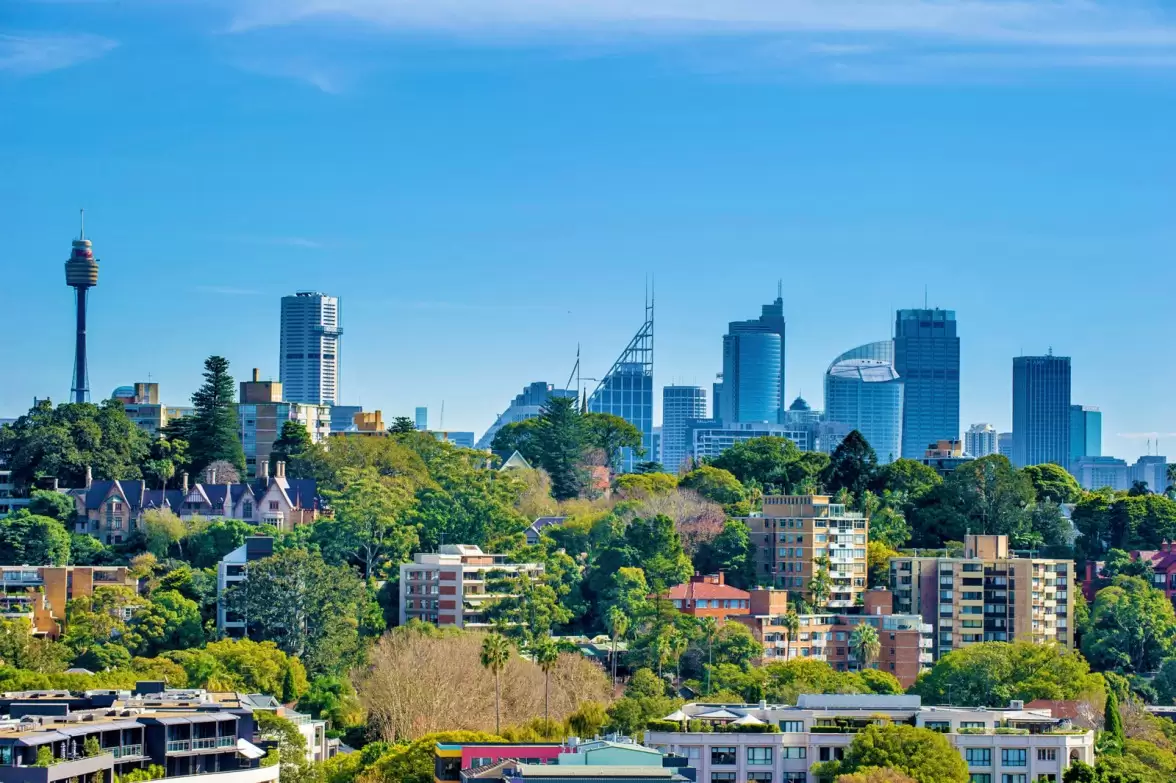 2b Tarrant Avenue, Bellevue Hill Sold by Sydney Sotheby's International Realty - image 21