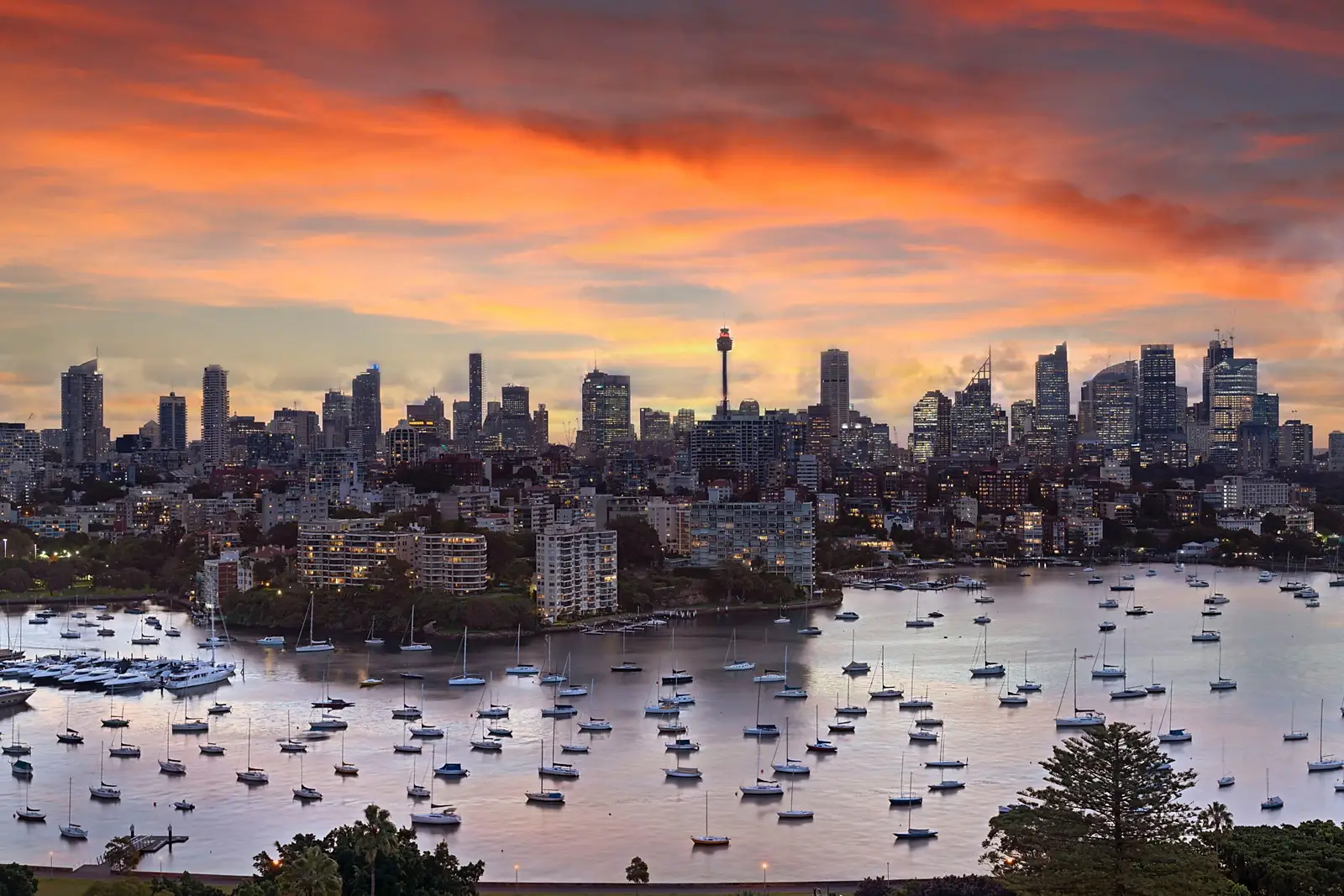 24/60 Darling Point Road, Darling Point Sold by Sydney Sotheby's International Realty - image 2