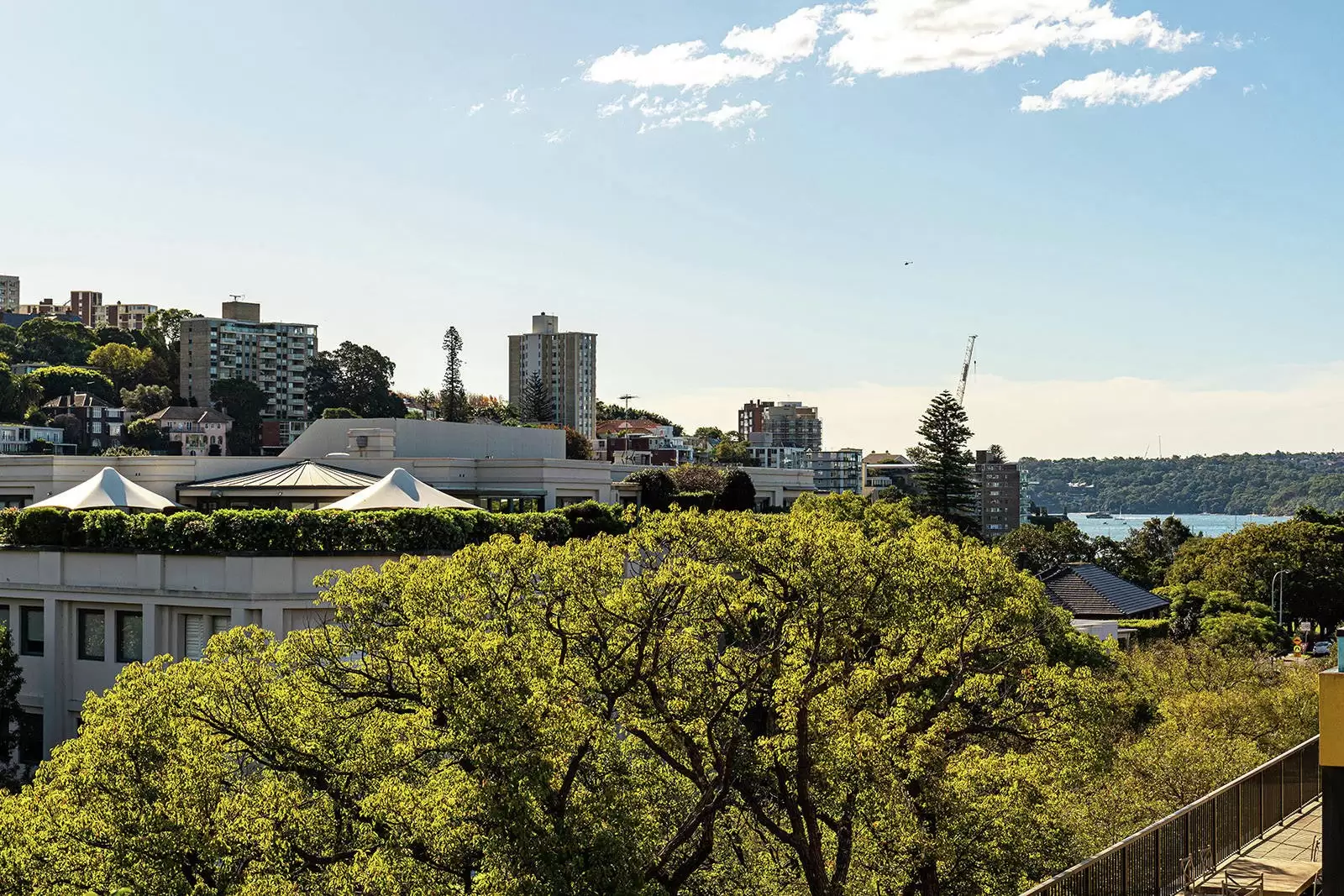 6B 2-22 Knox Street, Double Bay Leased by Sydney Sotheby's International Realty - image 15