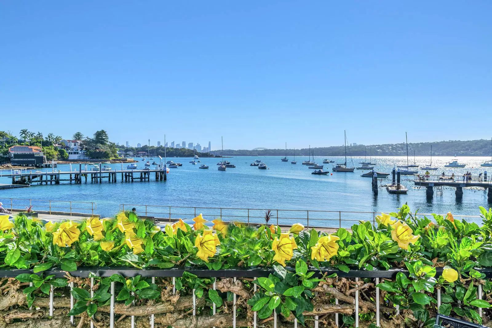 5 Marine Parade, Watsons Bay Leased by Sydney Sotheby's International Realty - image 3