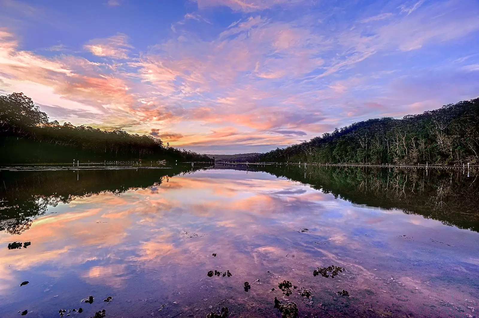 'Bangalay' Wagonga Scenic Drive, Narooma Sold by Sydney Sotheby's International Realty - image 16