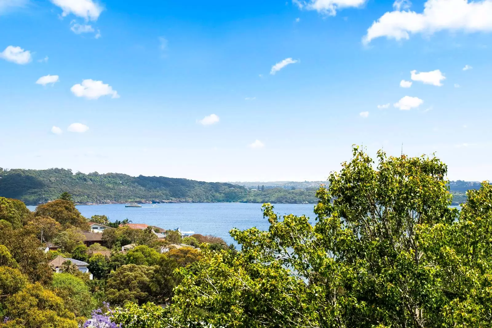 29 Parsley Road, Vaucluse Leased by Sydney Sotheby's International Realty - image 1
