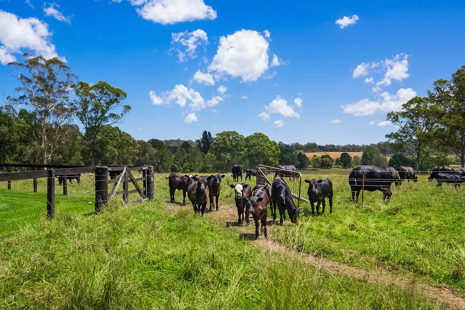 475 Old South Road, Mittagong Sold by Sydney Sotheby's International Realty - image 24