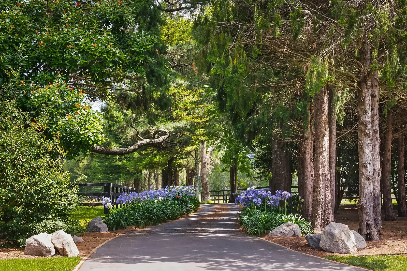 475 Old South Road, Mittagong Sold by Sydney Sotheby's International Realty - image 3