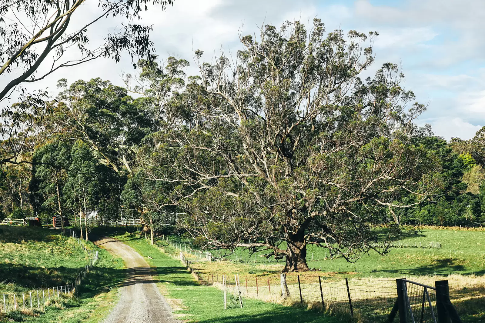 276 Rockleigh Road, Exeter Sold by Sydney Sotheby's International Realty - image 15