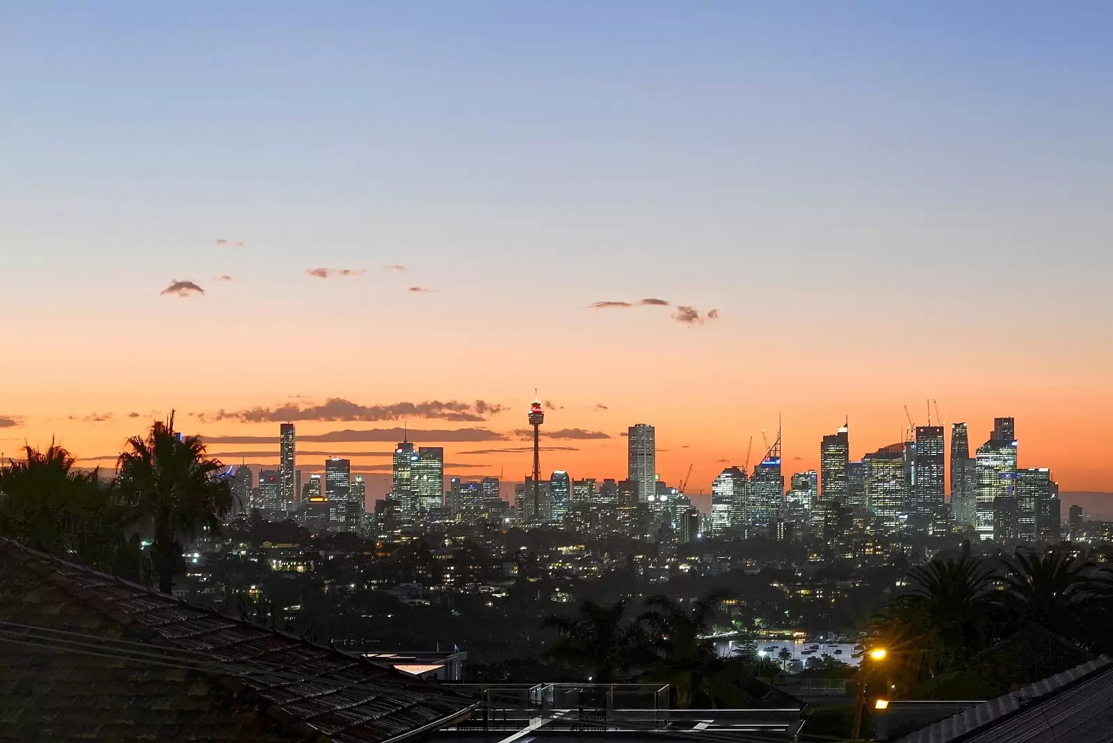 8 Napier Street, Dover Heights Sold by Sydney Sotheby's International Realty - image 9