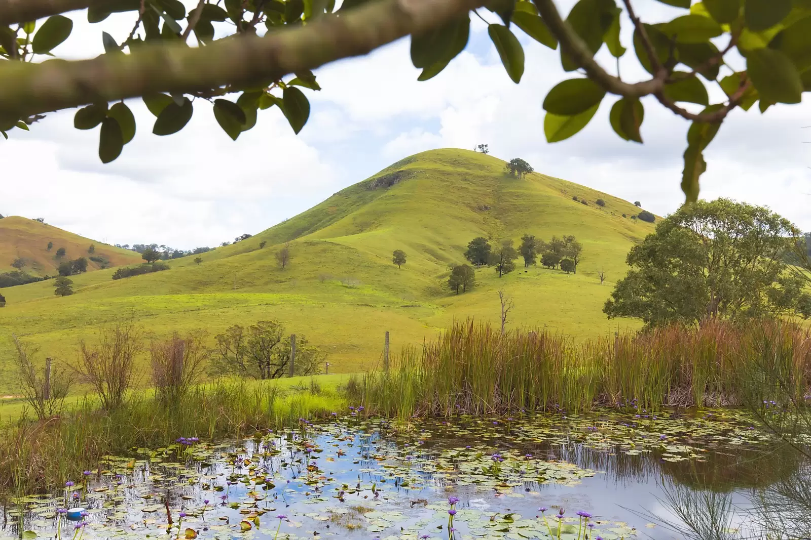 381 Sugarloaf Road, Sugarloaf Sold by Sydney Sotheby's International Realty - image 19