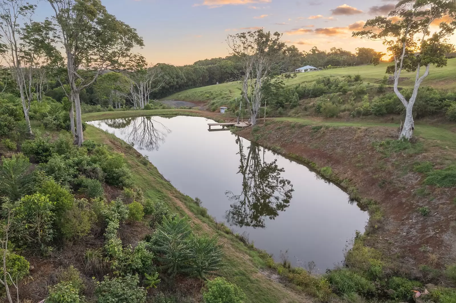 1141 Friday Hut Road, Binna Burra Sold by Sydney Sotheby's International Realty - image 10