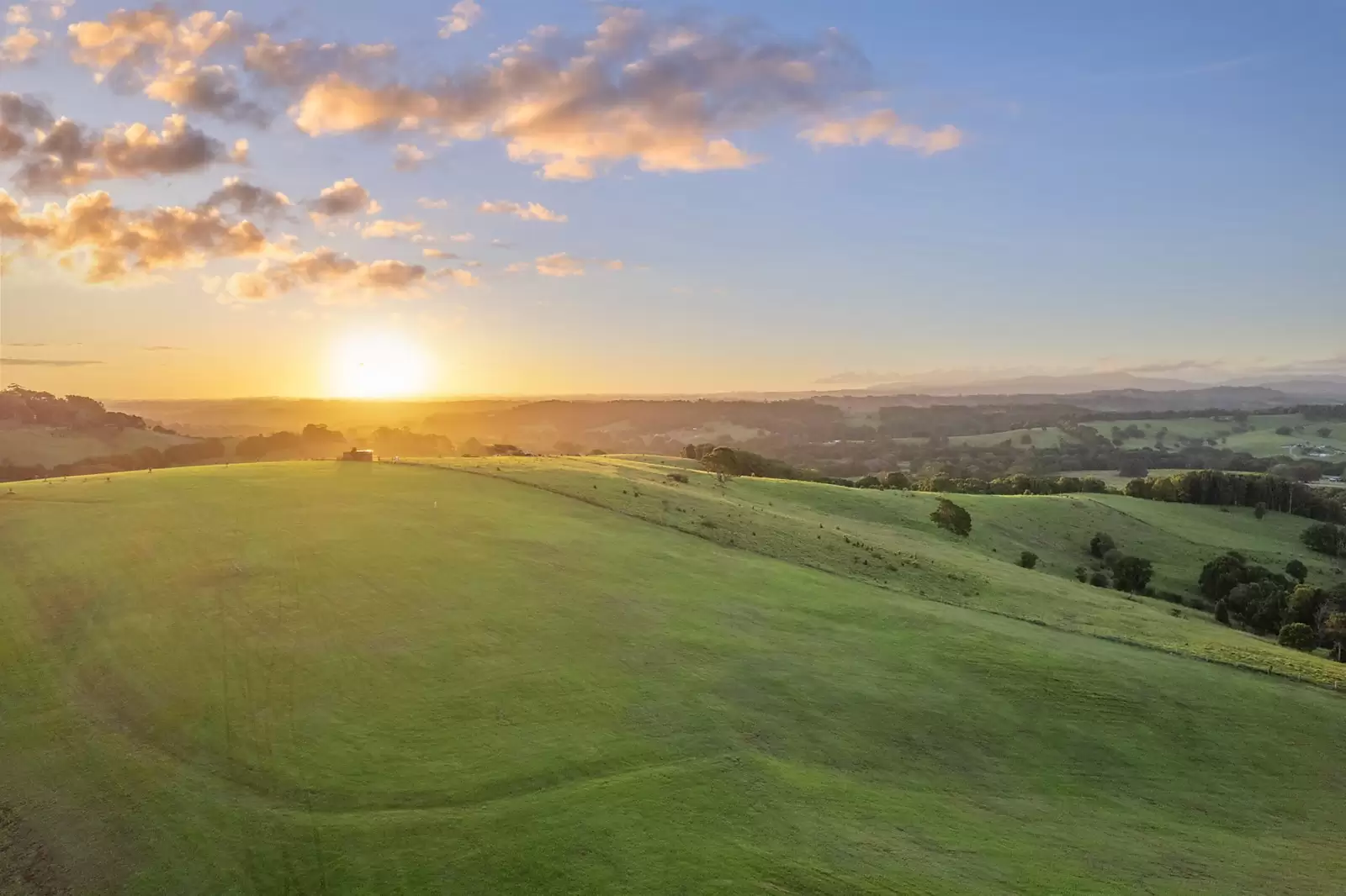 1141 Friday Hut Road, Binna Burra Sold by Sydney Sotheby's International Realty - image 9