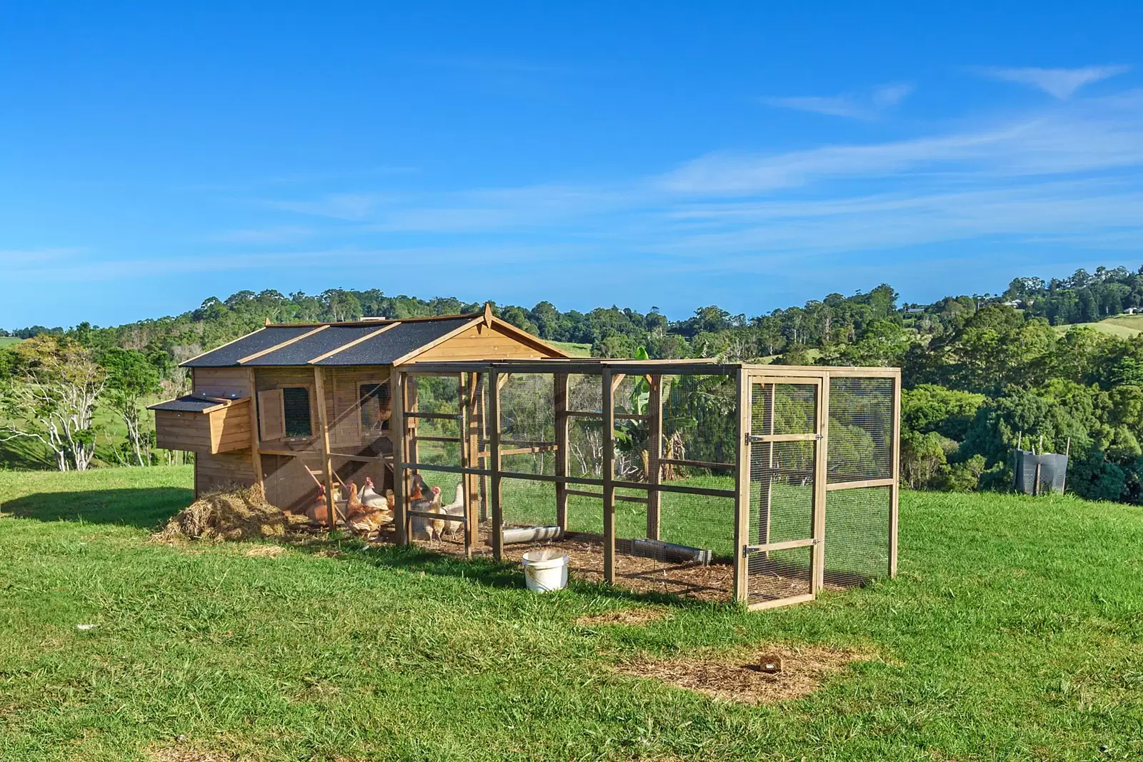 1141 Friday Hut Road, Binna Burra Sold by Sydney Sotheby's International Realty - image 11