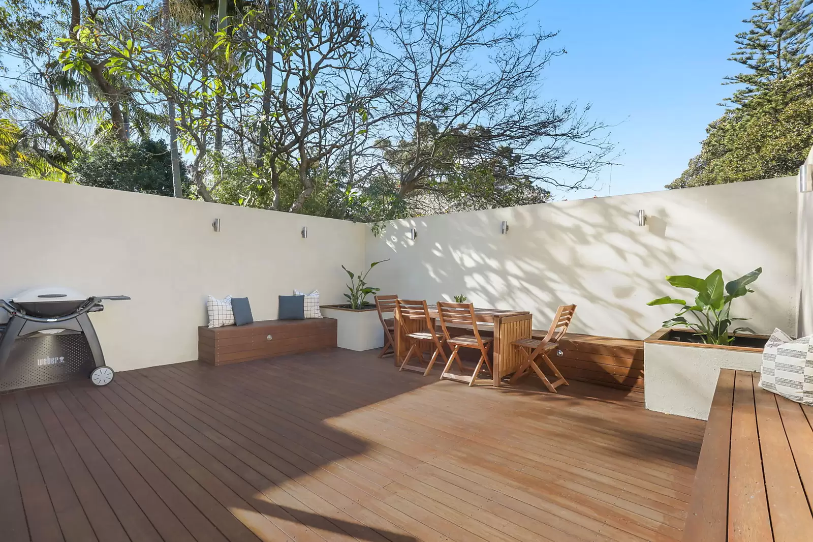 58 Wiley Street, Waverley Auction by Sydney Sotheby's International Realty - image 7