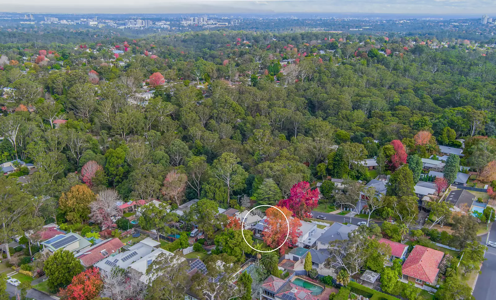 43 Rothwell Road, Turramurra Sold by Sydney Sotheby's International Realty - image 1