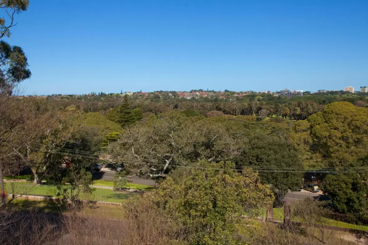 98 Lang Road, Centennial Park Sold by Sydney Sotheby's International Realty - image 7
