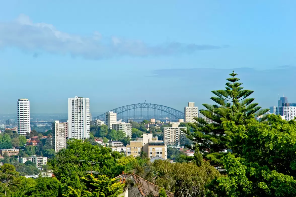 19 Bulkara Road, Bellevue Hill Sold by Sydney Sotheby's International Realty - image 6