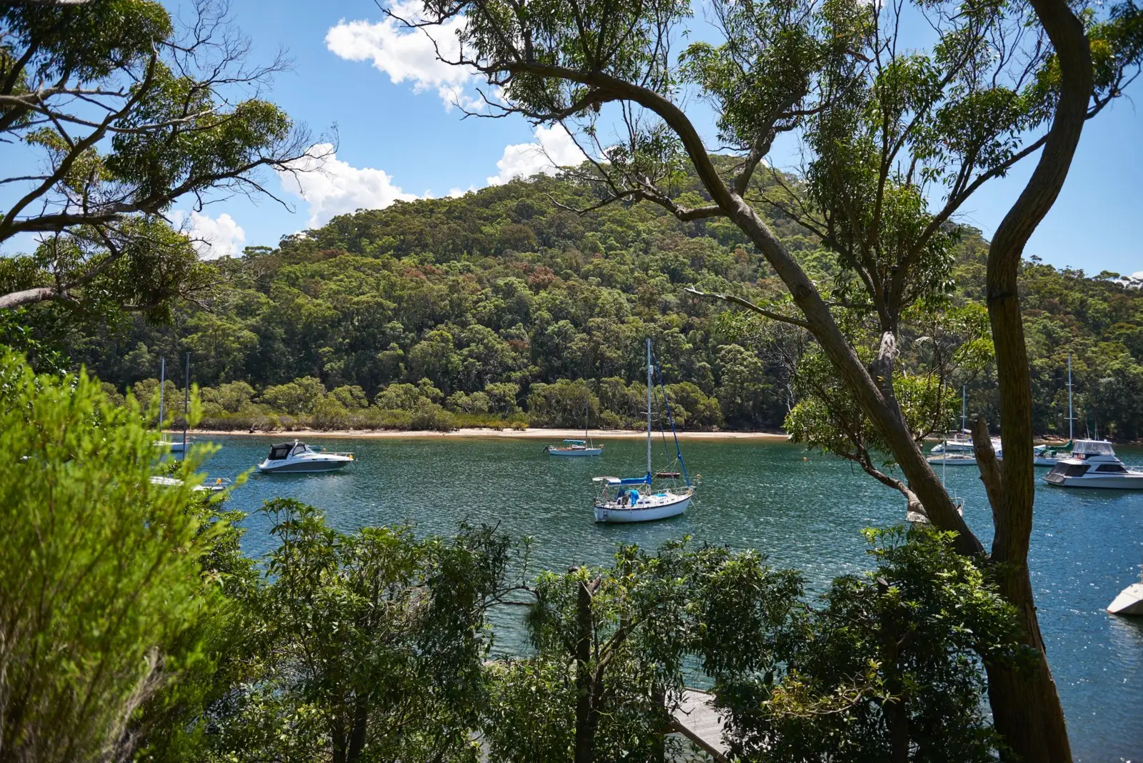 174-178 McCarrs Creek Road, Church Point Sold by Sydney Sotheby's International Realty - image 3