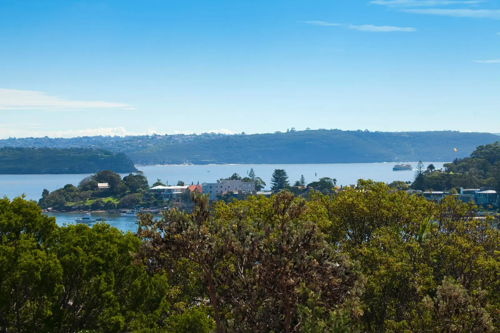 31 Palmerston Street, Vaucluse Sold by Sydney Sotheby's International Realty - image 2