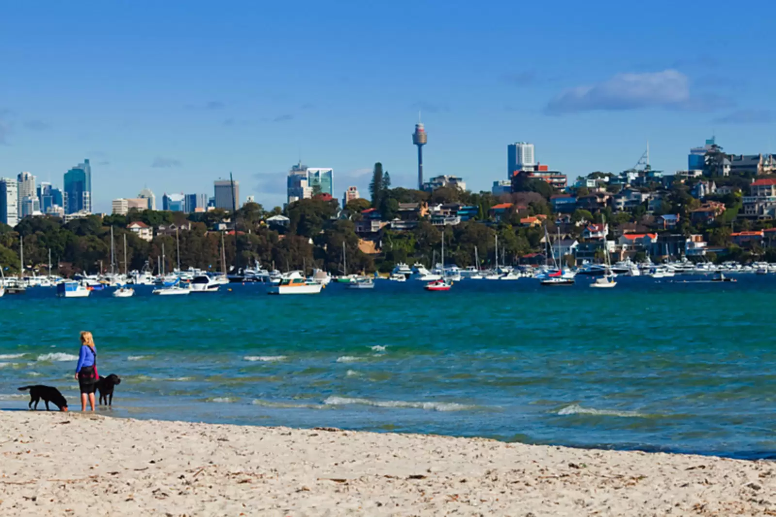 746 New South Head Road, Rose Bay Leased by Sydney Sotheby's International Realty - image 9