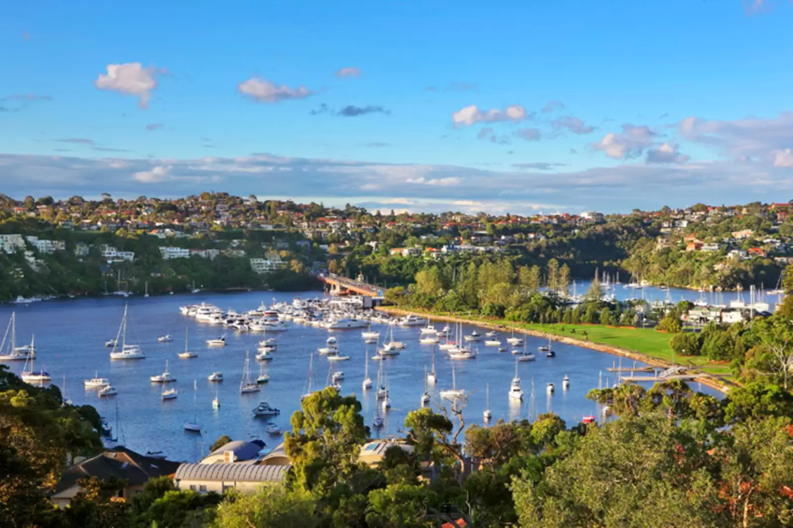 16 Ida Avenue, Mosman Sold by Sydney Sotheby's International Realty - image 4