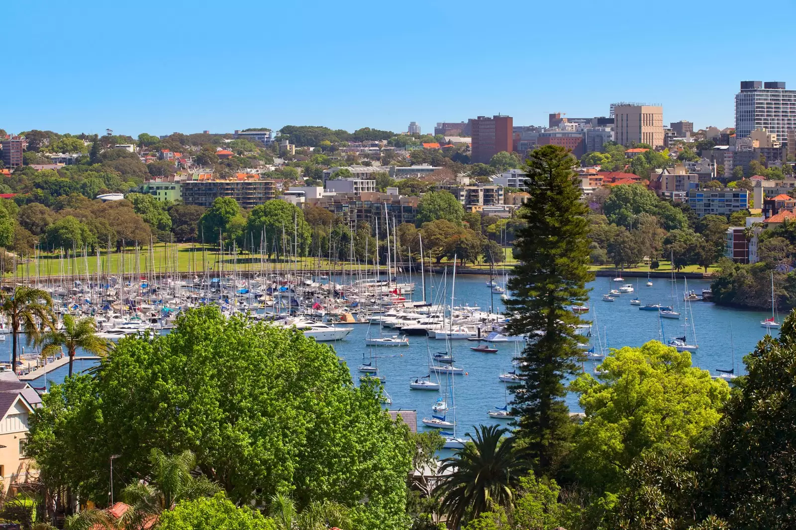 'Longwood 7B/5-11 Thornton Street, Darling Point Sold by Sydney Sotheby's International Realty - image 13