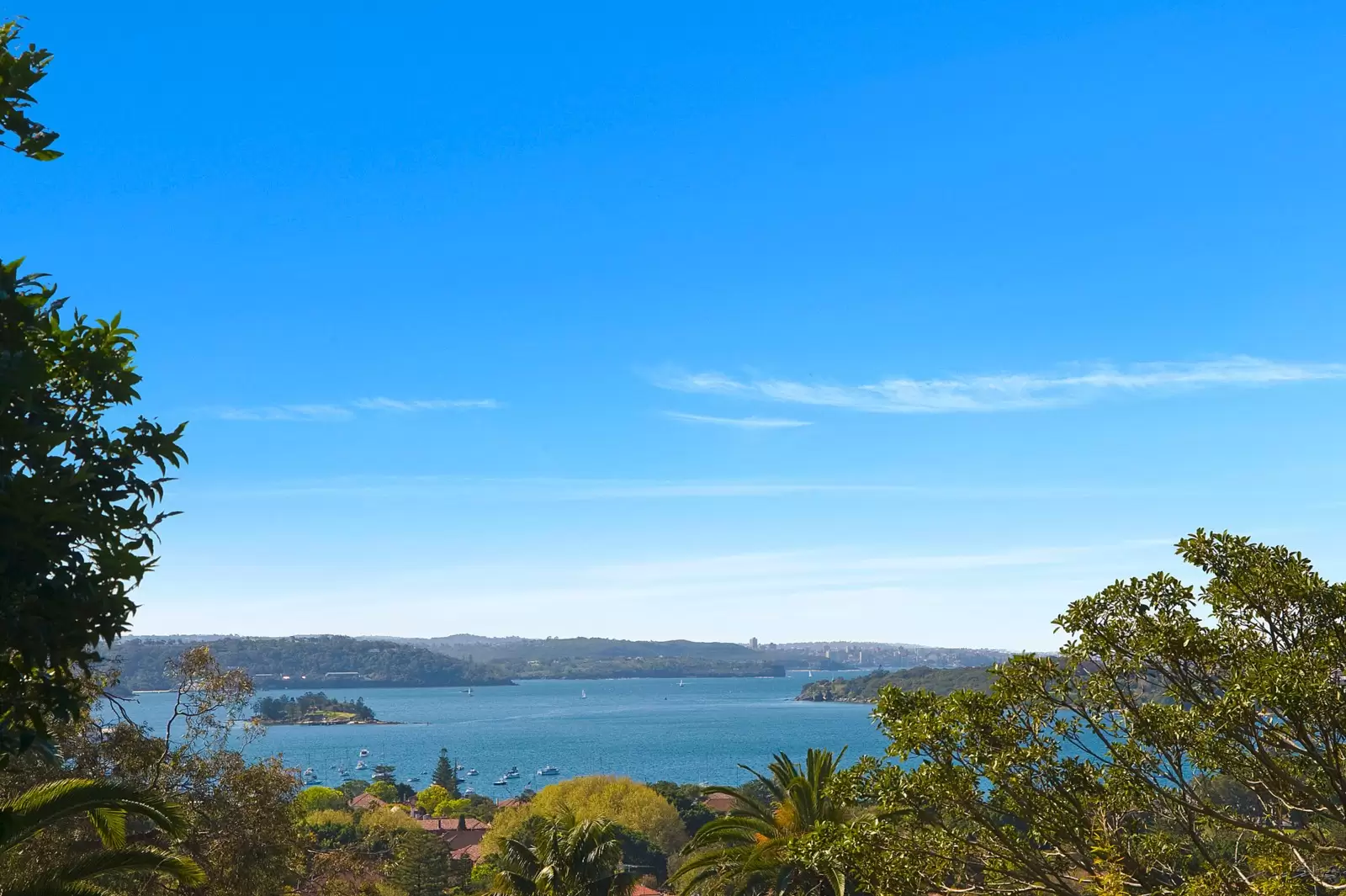 83a Drumalbyn Road, Bellevue Hill Sold by Sydney Sotheby's International Realty - image 4
