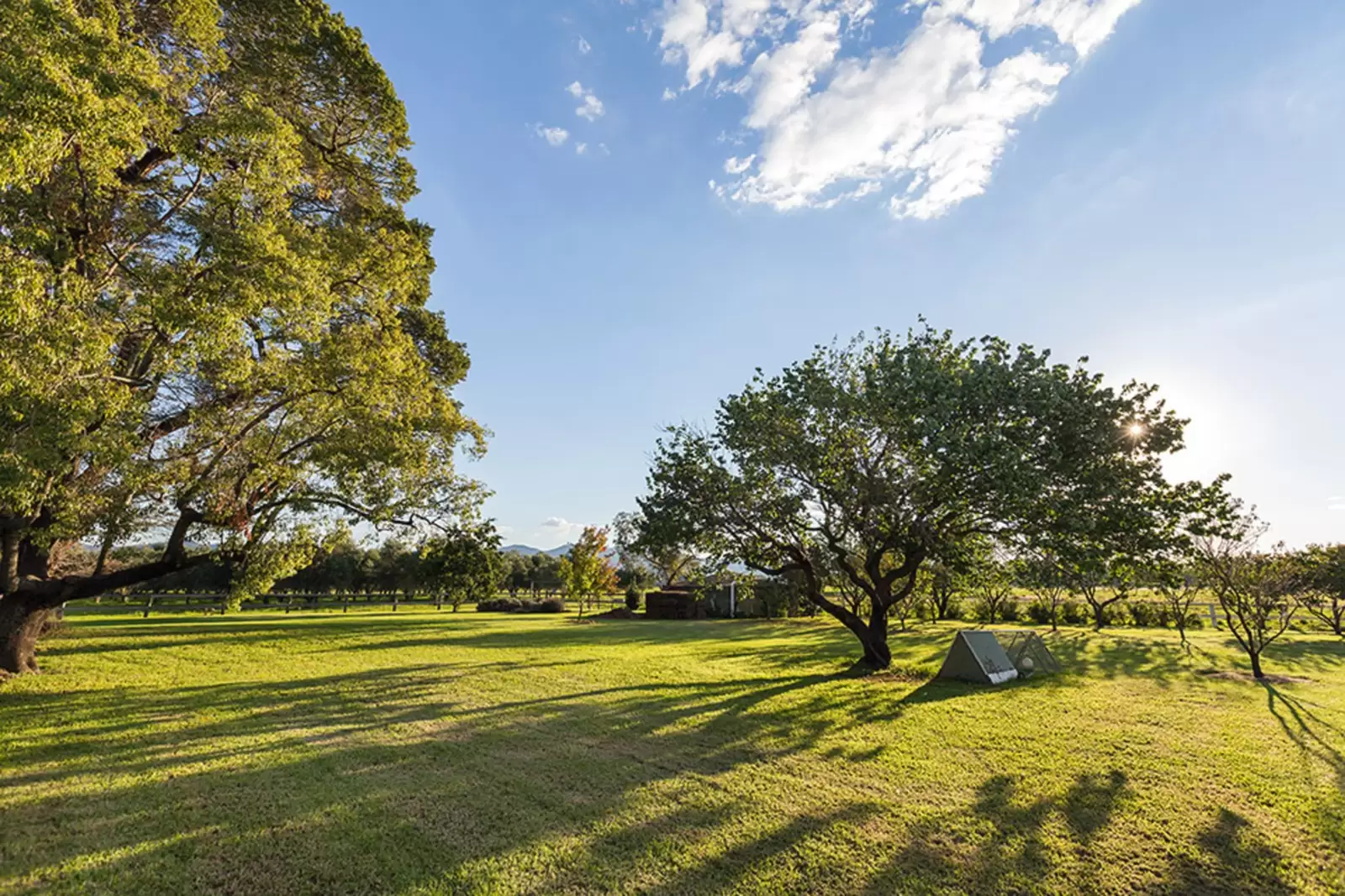 317 Lue Road, Mudgee Sold by Sydney Sotheby's International Realty - image 17