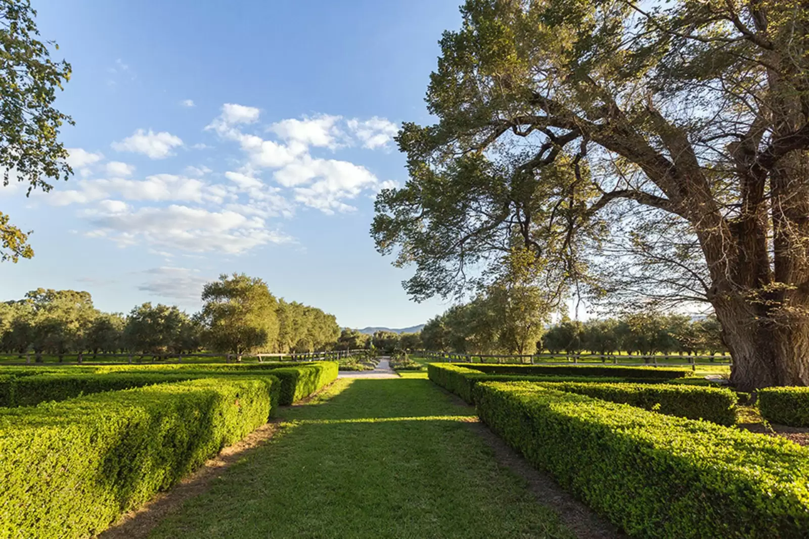 317 Lue Road, Mudgee Sold by Sydney Sotheby's International Realty - image 16