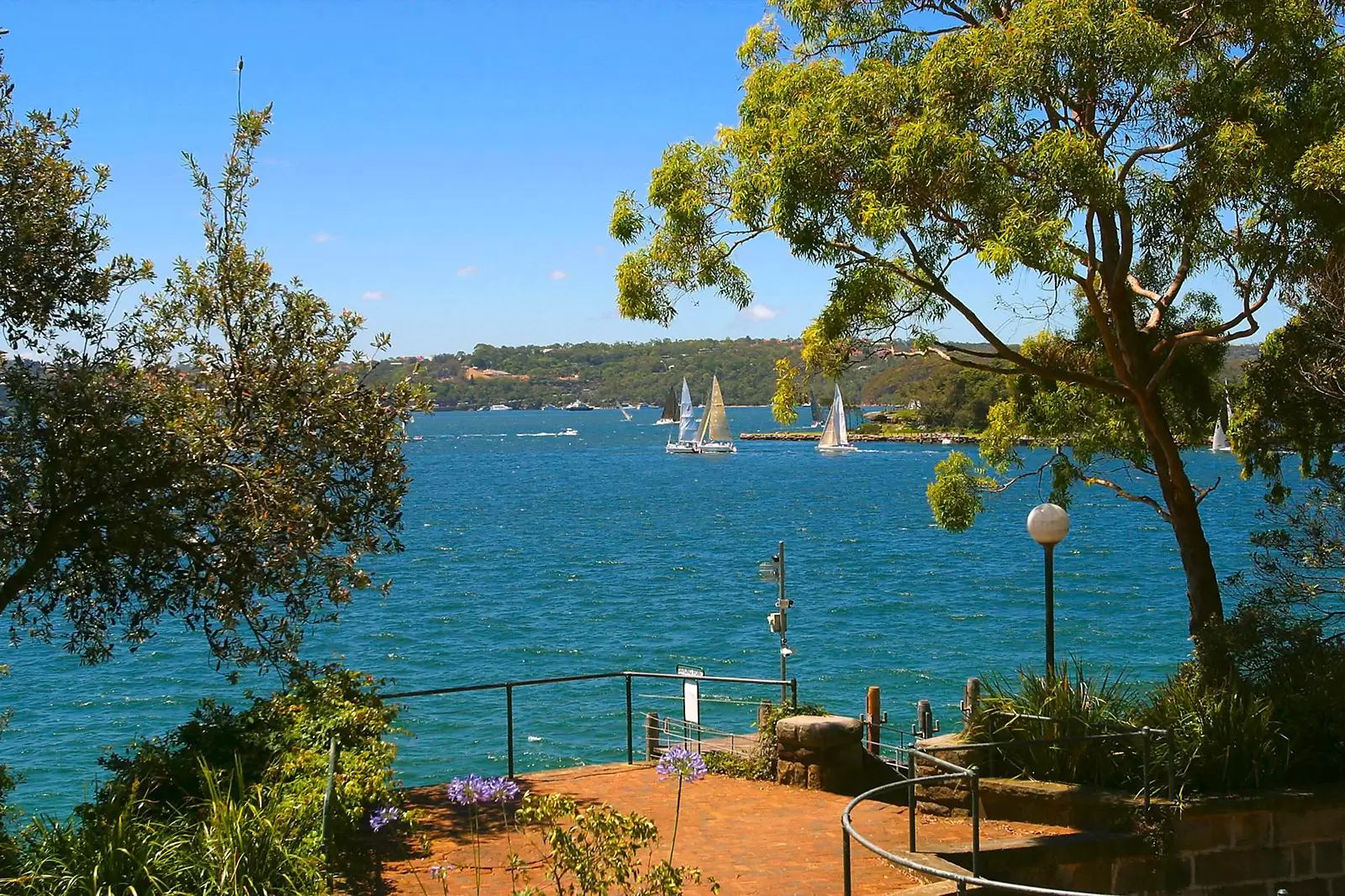 3D/3 Darling Point Road, Darling Point Sold by Sydney Sotheby's International Realty - image 10