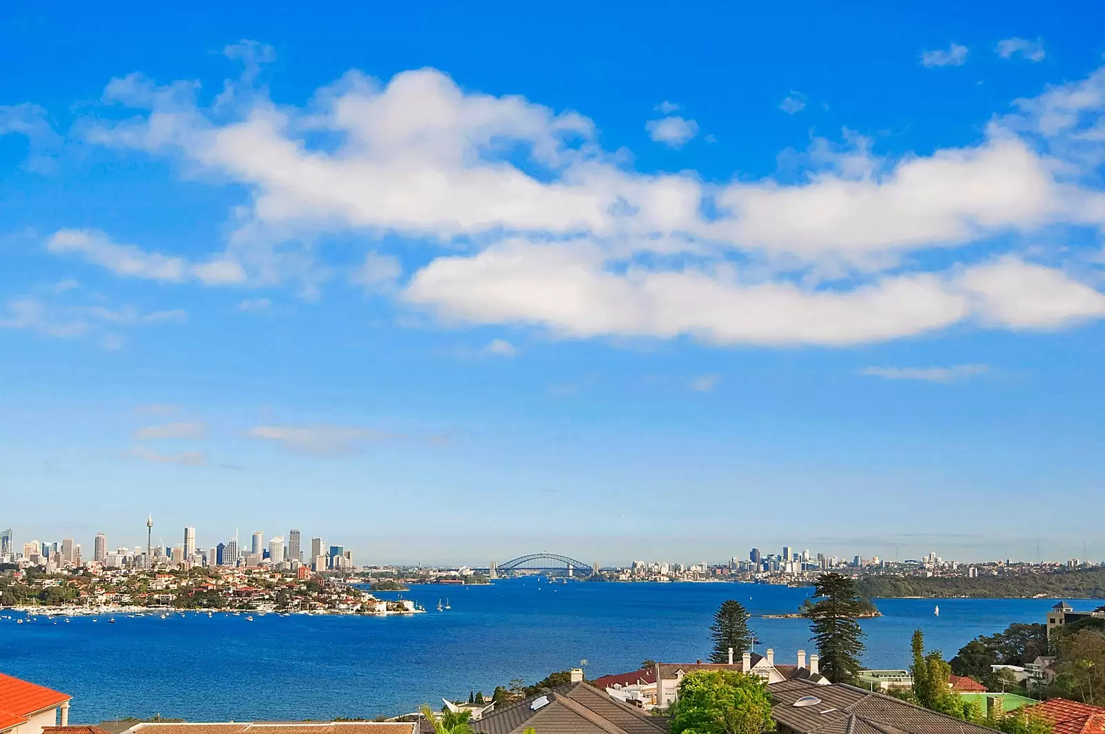 37 Chamberlain Avenue, Rose Bay Sold by Sydney Sotheby's International Realty - image 9