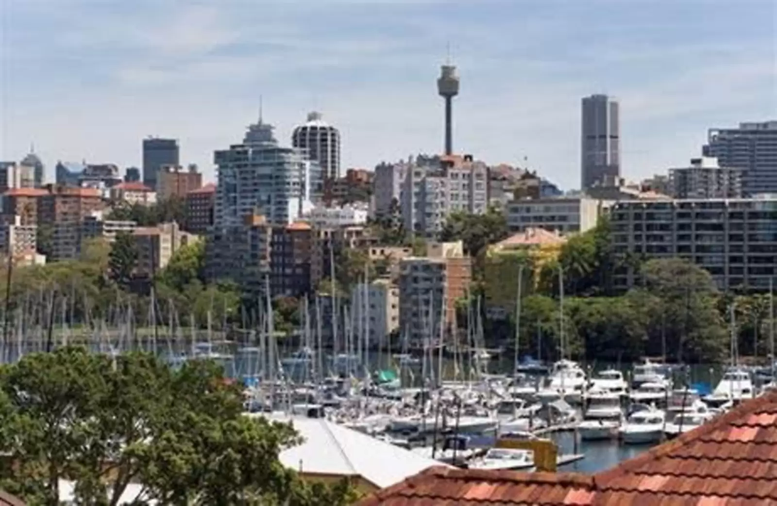 14 Annandale Street, Darling Point Sold by Sydney Sotheby's International Realty - image 9