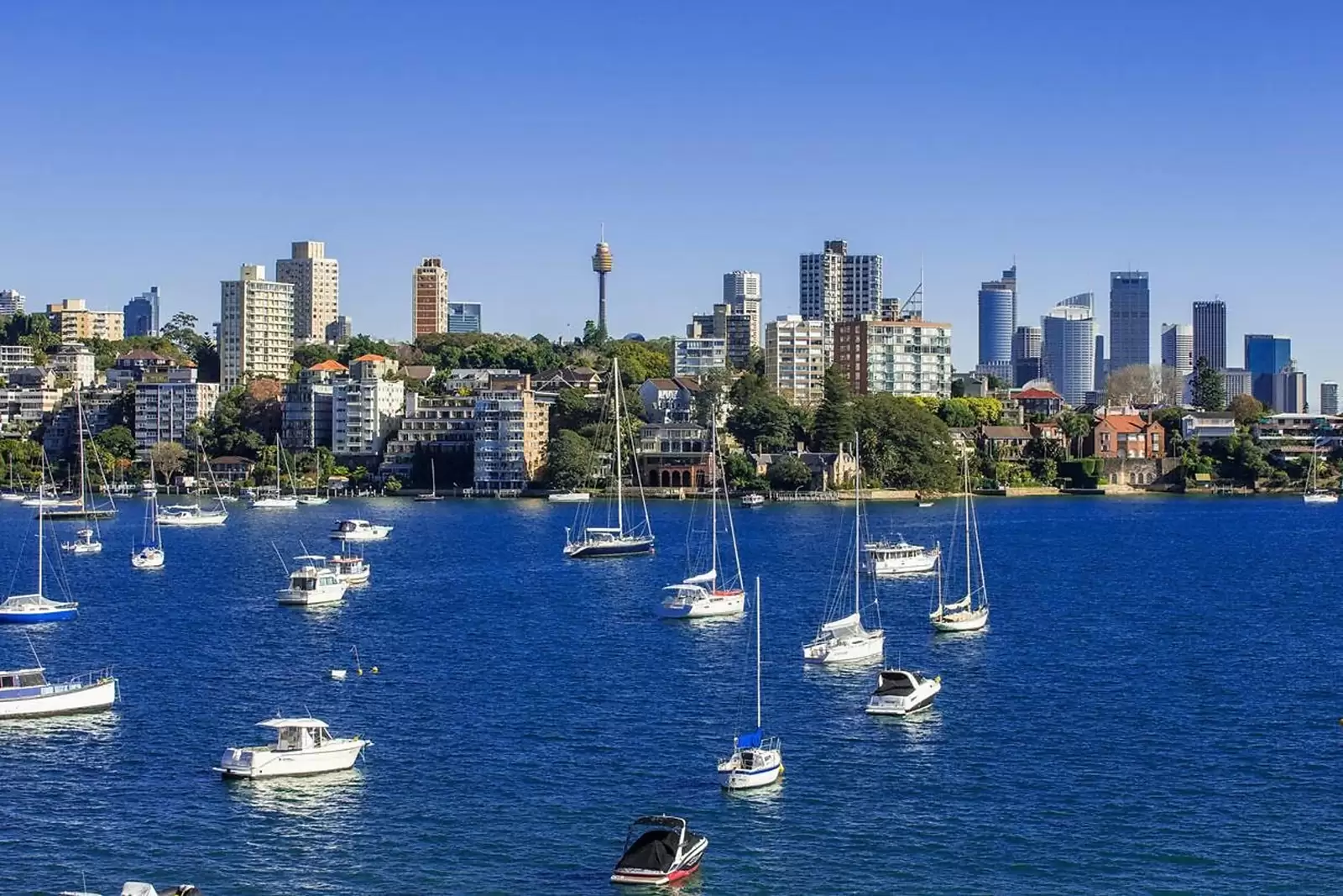 38 Wolseley Road 'Sienna' Residence 5, Point Piper Sold by Sydney Sotheby's International Realty - image 5