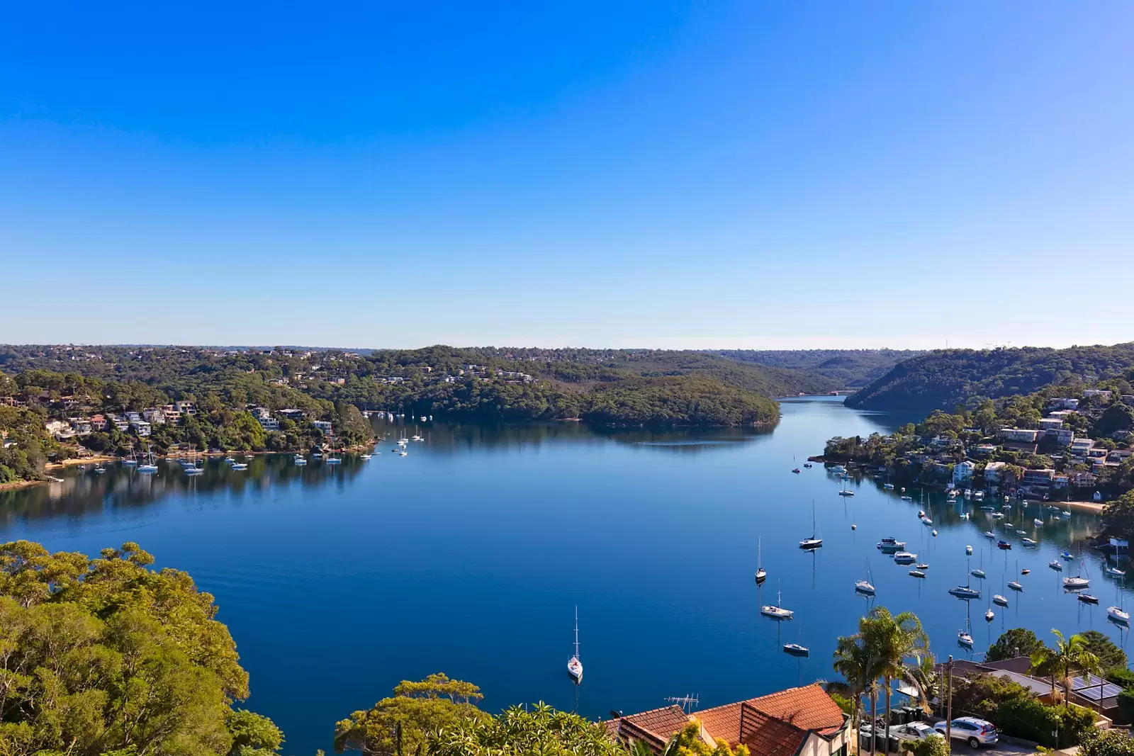 16 David Place, Seaforth Sold by Sydney Sotheby's International Realty - image 17