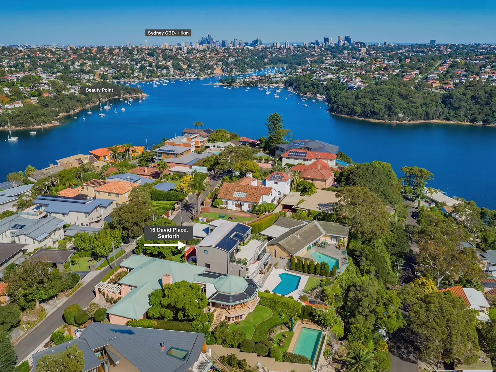 16 David Place, Seaforth Sold by Sydney Sotheby's International Realty - image 13