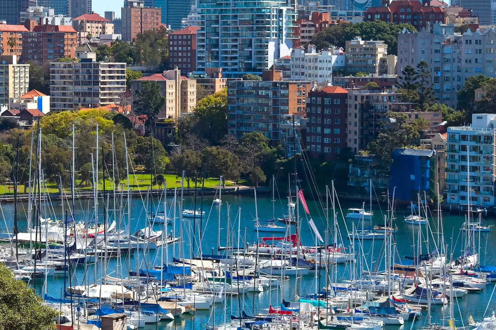 Darling Point Sold by Sydney Sotheby's International Realty - image 22